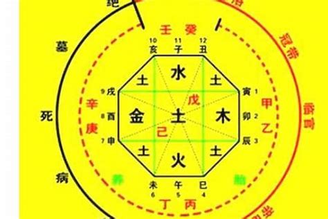 八字喜忌查询|生辰八字算命、五行喜用神查询（免费测算）